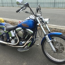 モリシンマイネオ