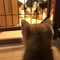 ポテ1210