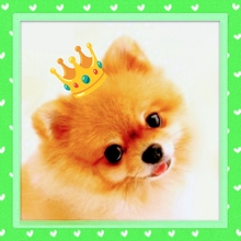 J.Mind .@ 🩷 復 帰！