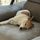 Mario Ywasaki